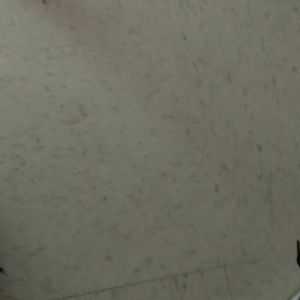 Meet your Posher, Daishawn